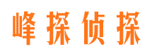 延川侦探调查公司